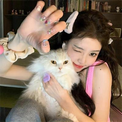 胖胖裤猪